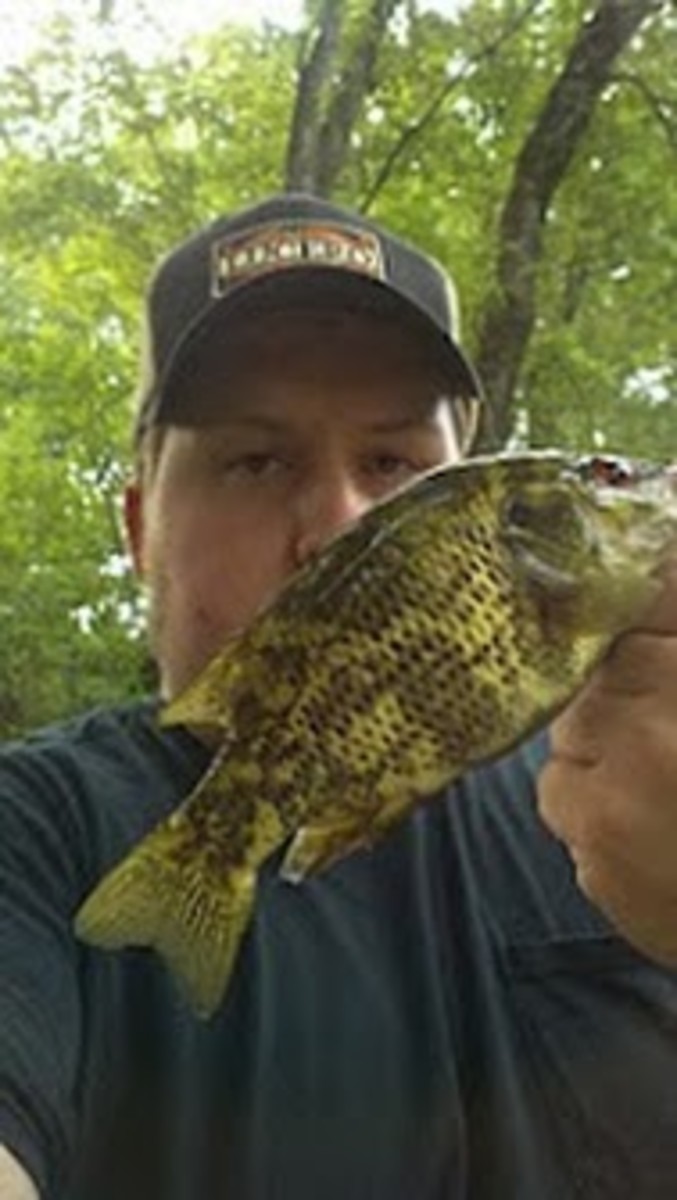 fishing-for-goggle-eye-the-underdog-of-the-bass-fishing-world