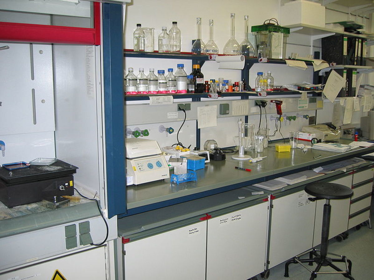 Laboratory, Institute of Biochemistry, University of Cologne.