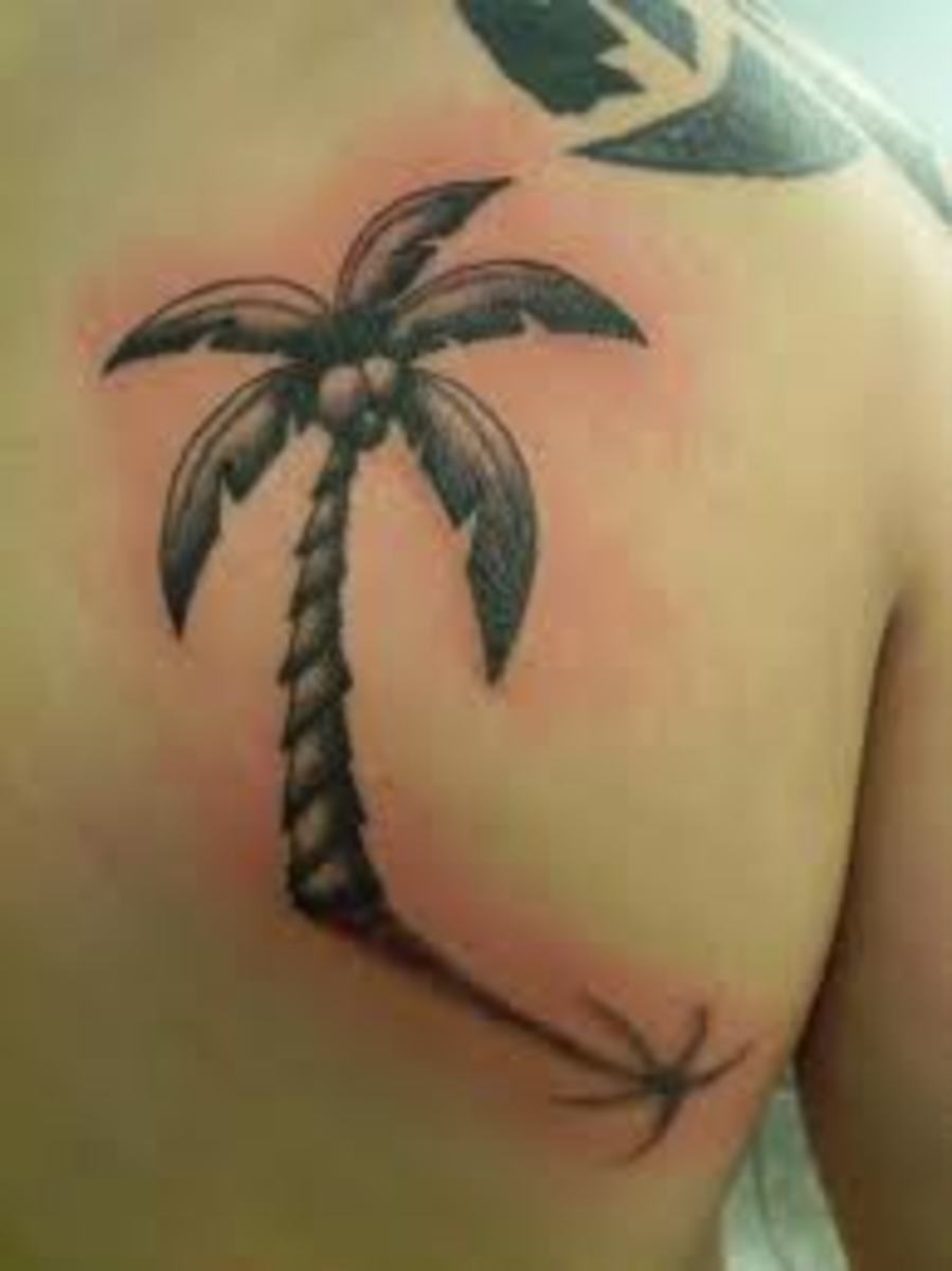 Palm Tree Tattoo Ideas and Designs