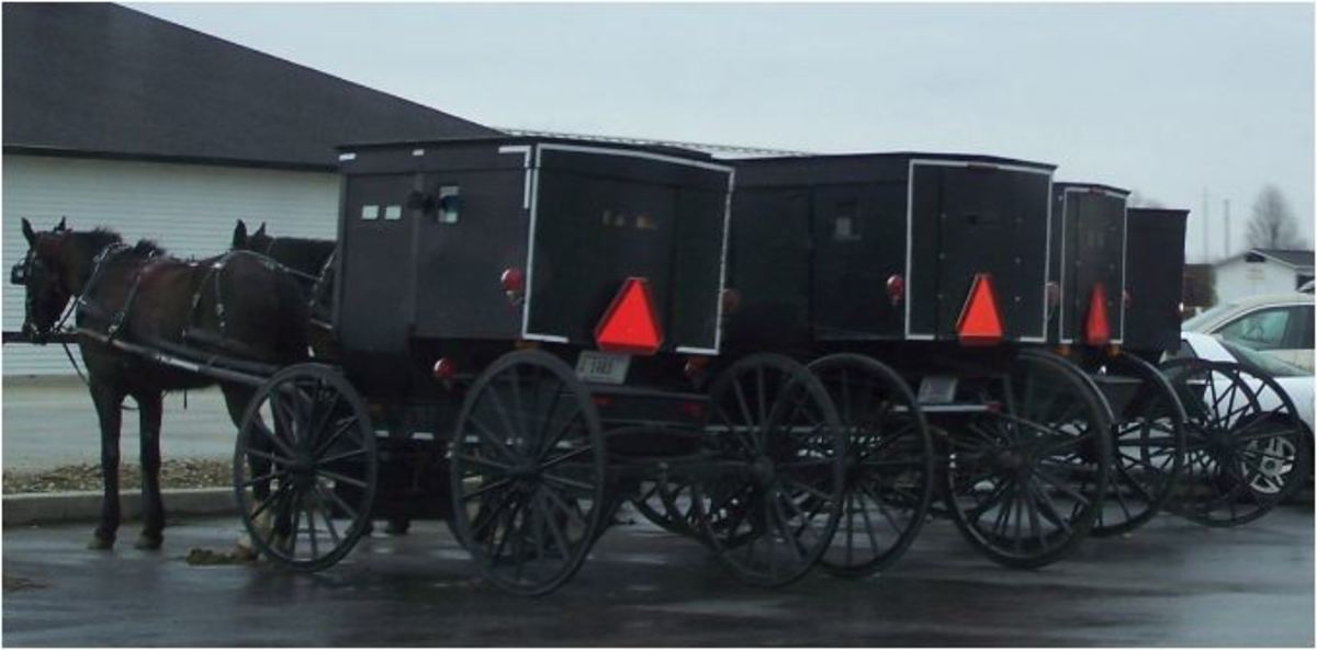 Amish in Indiana 