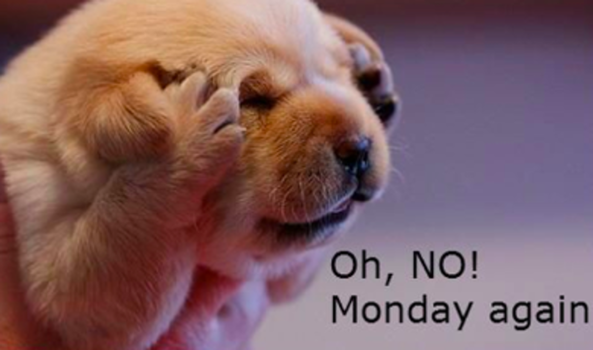 Is Mondayitis Real? Jokes, Facts and Quotes