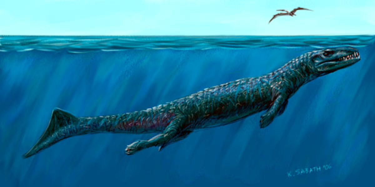 the-worlds-biggest-snake-ever-titanaboa-prehistoric-monster-snake