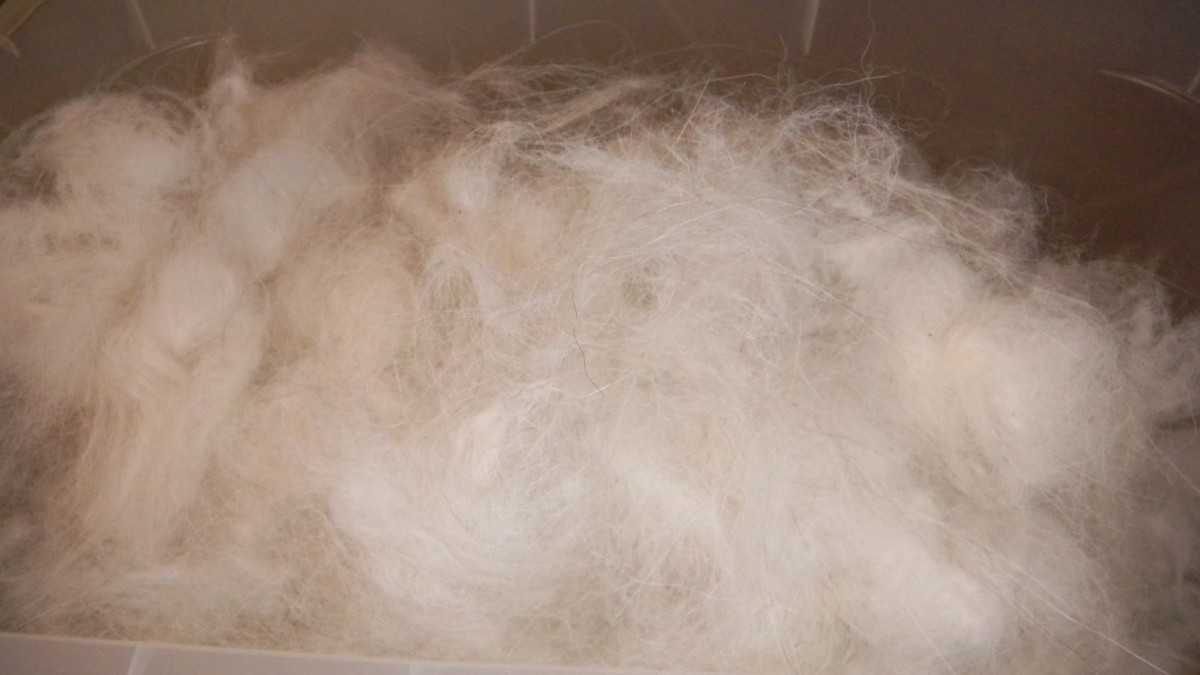 Fur from just one afternoon of brushing my Malamutes!