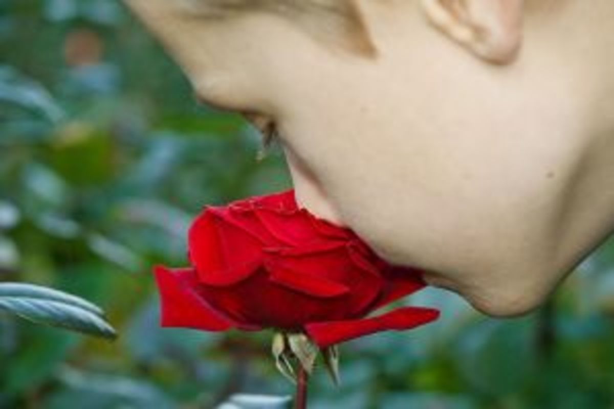 Smelling the Roses
