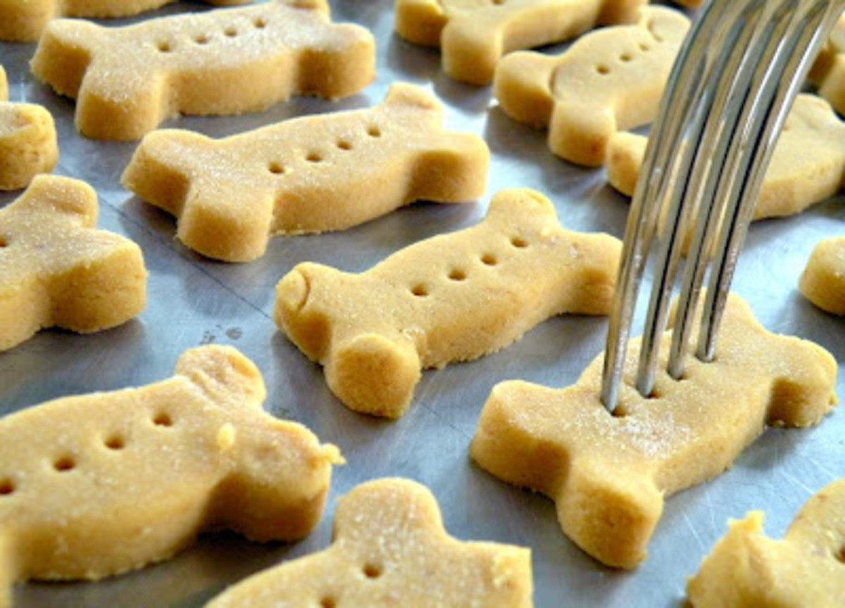how-to-make-homemade-dog-treats-and-biscuits