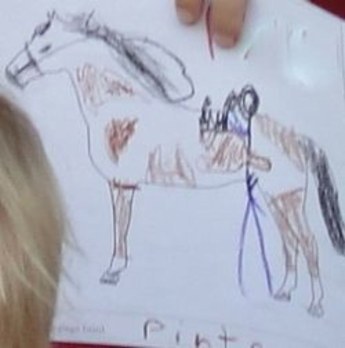 Coloring in a picture of her favorite horse breed, a pinto