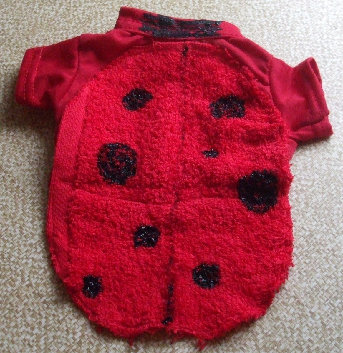 How to Make a Ladybird Costume