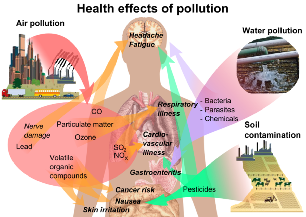 An overview of the main health effects of the most common forms of pollution.