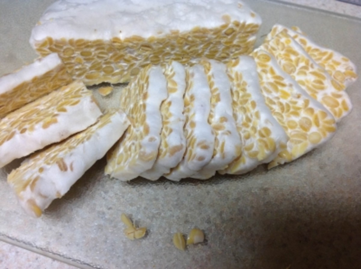 My Latest Homemade Tempeh - Ready for Cooking