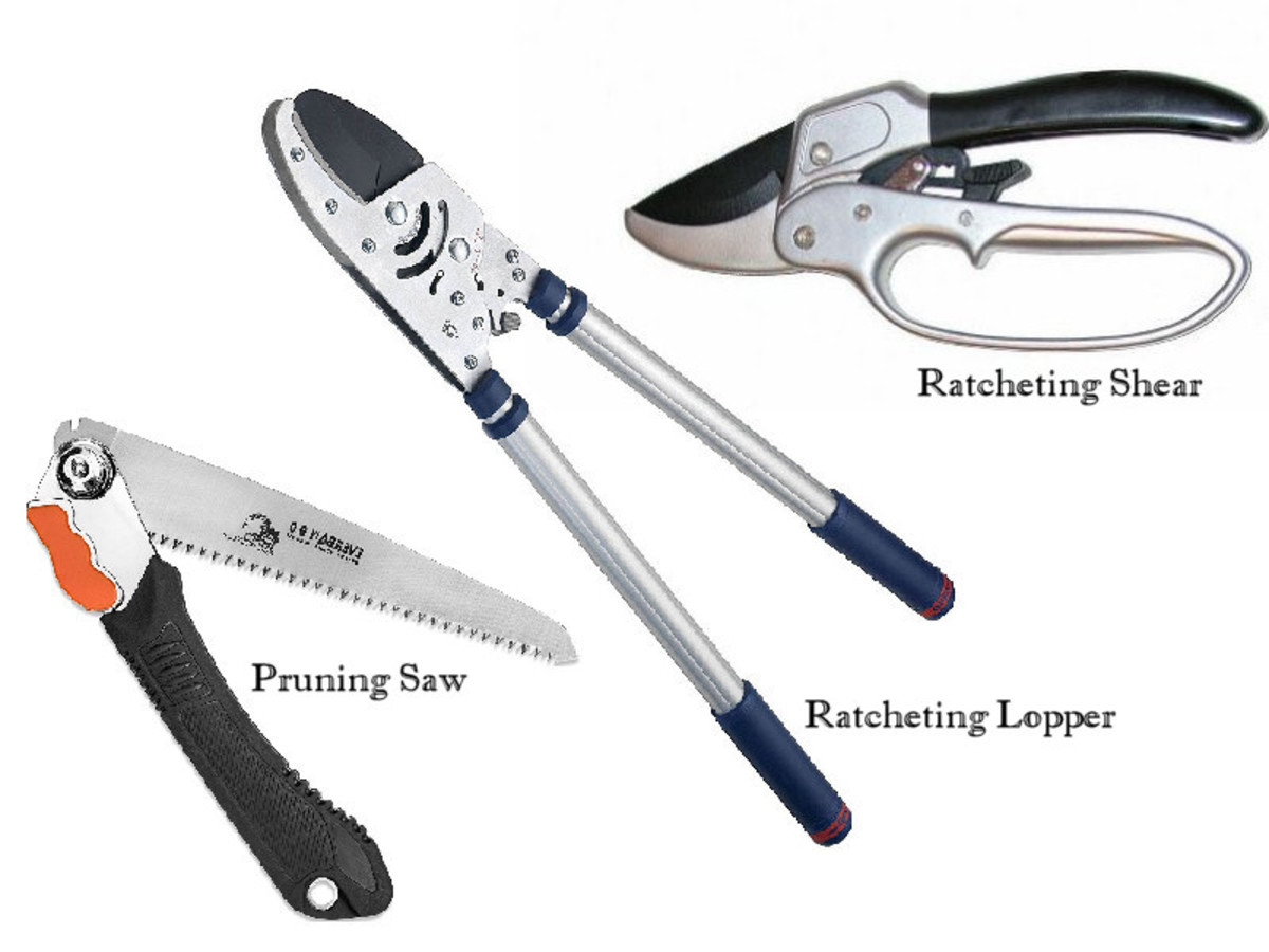Rose Pruning and Trimming Tools