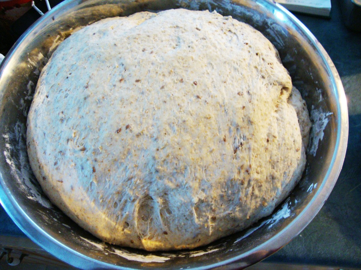 Bread dough rising nicely in bowl.