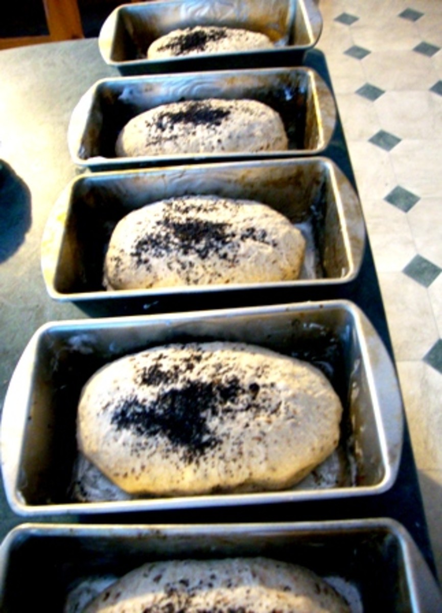 Whole wheat bread topped with poppy seeds.