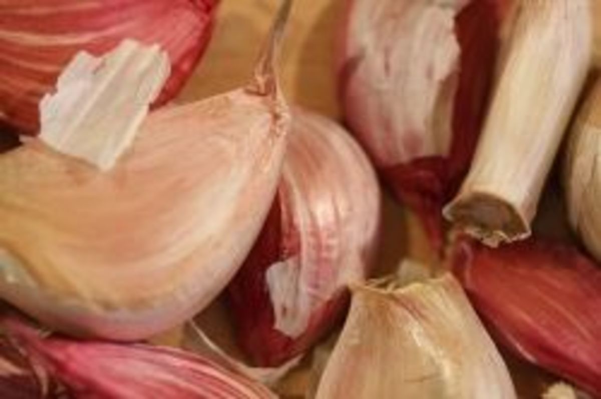 health-benefits-of-garlic-plus-recipes