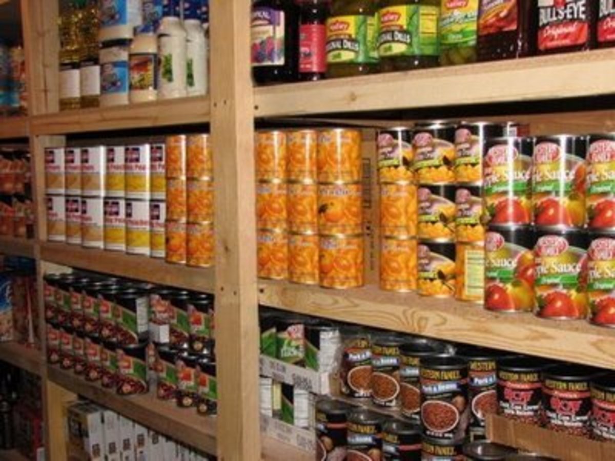 Doomsday Preparation: Stockpile Canned Food