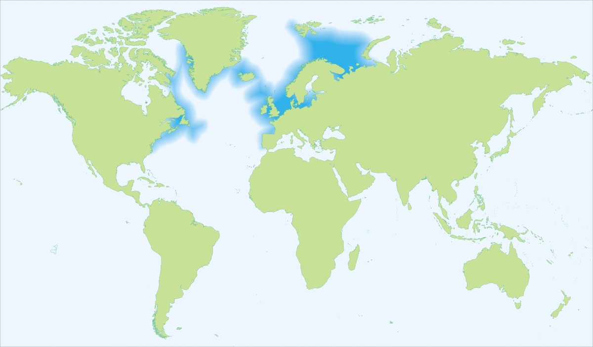 Range map for the Atlantic cod