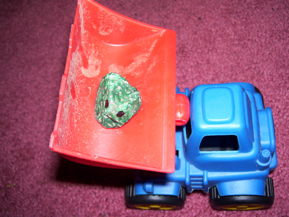 Pet rocks love going for rides.
