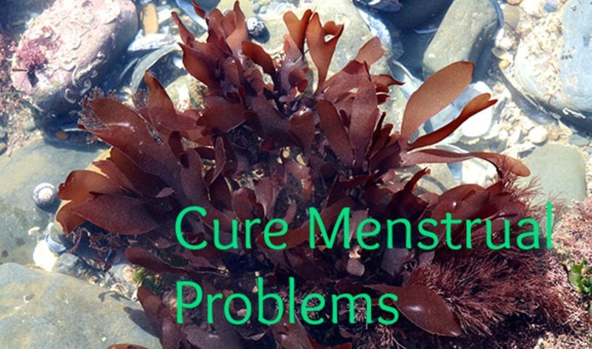 Cure Menstrual Problems--Excessive Menstrual Flow (Menorrhagia) and Bleeding Between Menstrual Periods (Metrorrhagia)