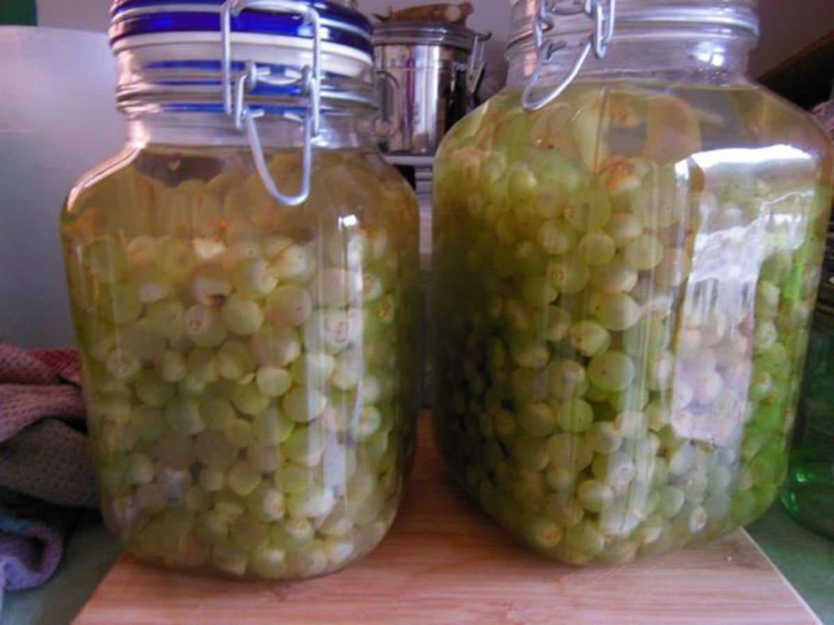 Grape Juice, Cordial & Syrup HubPages