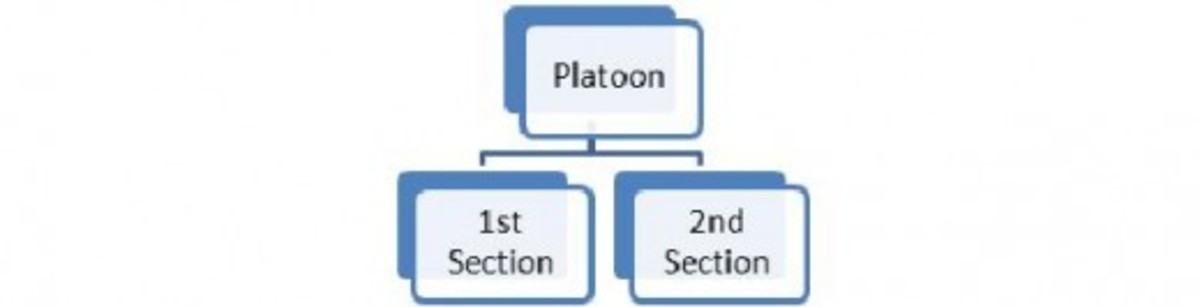 Figure 2: A Platoon subdivided into two Sections.