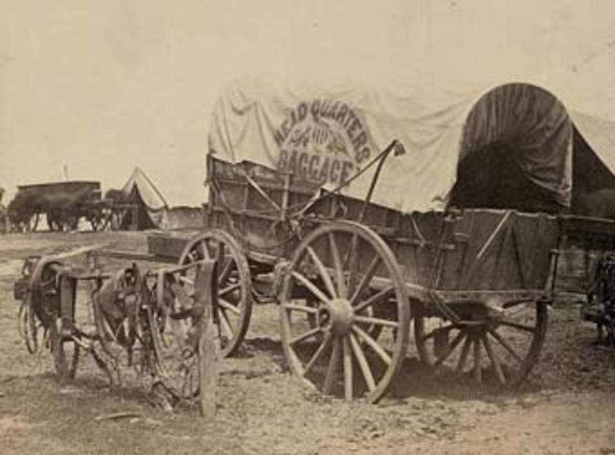 A supply wagon. One supply wagon per Company was normal in the early months of the War.