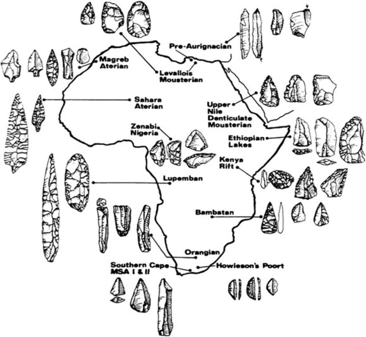 Regional variation in the African: The Middle Stone Age of Africa: Biogeographical opportunities and technological strategies in later human evolution 
