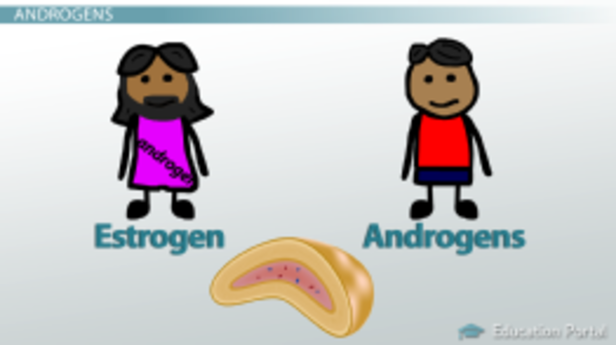 Androgens are male hormones and estrogens are female hormones. A slight disorder in either hormones in a female body can cause excessive facial hair. In normal cases, an increased amount of androgens is blamed for unwanted facial hair. 