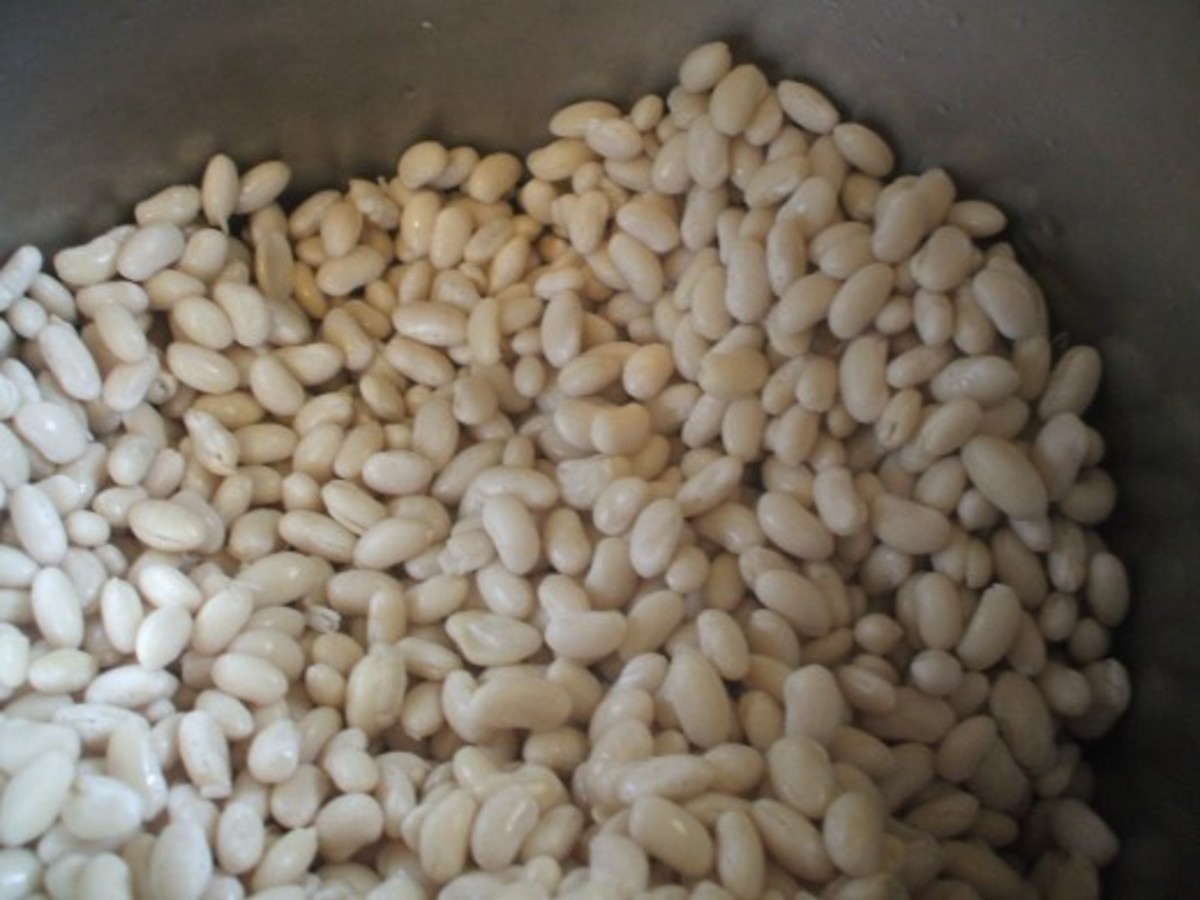 A kettle of army beans