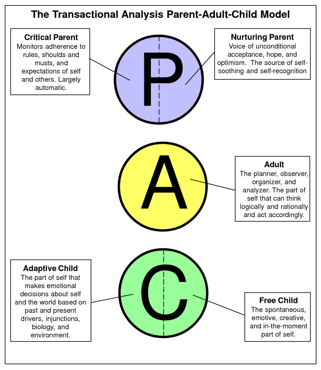 Quick Summary Of Transactional Analysis HubPages