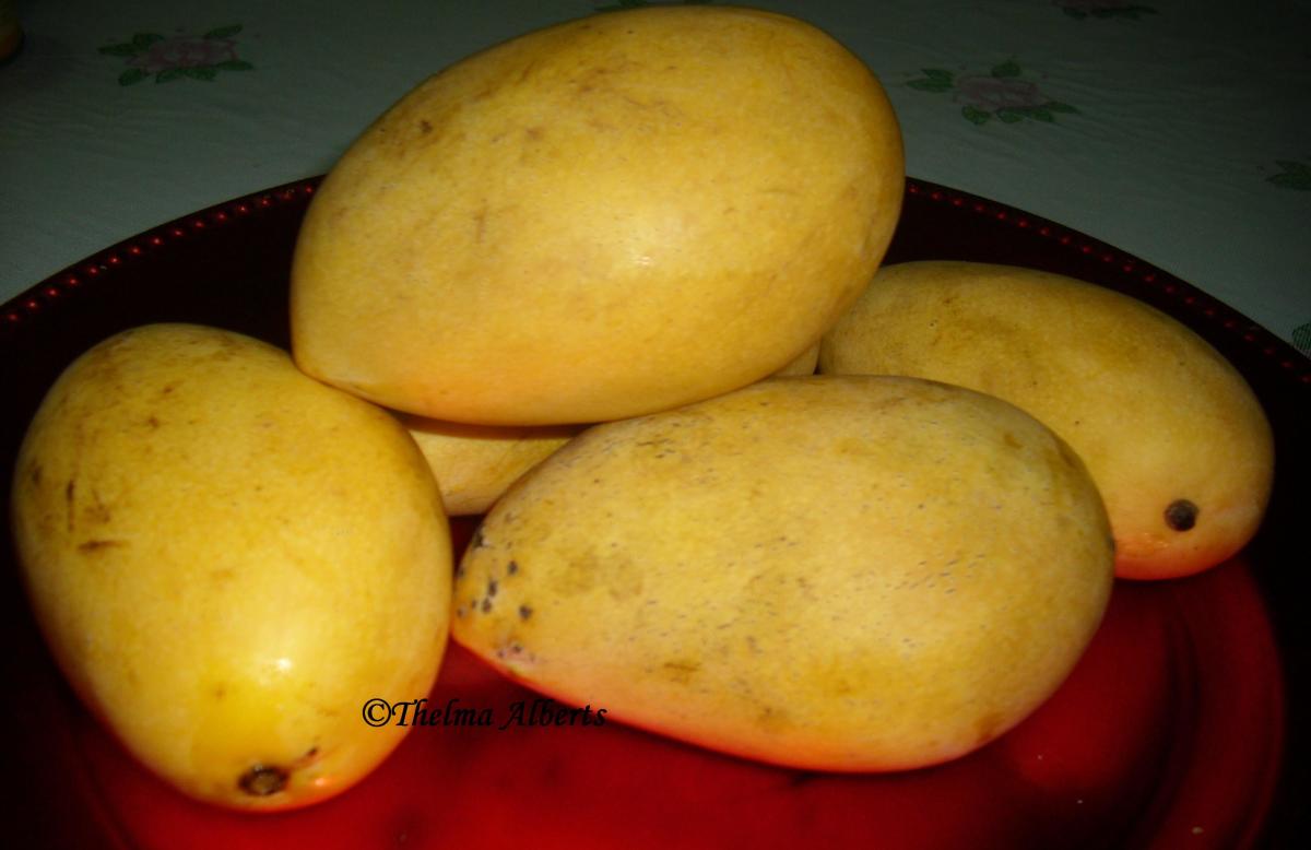 Ripe Mango Fruits