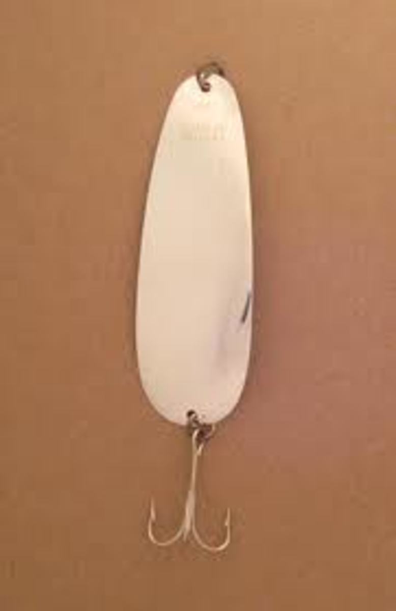 Catching Maine's Landlocked Salmon HubPages