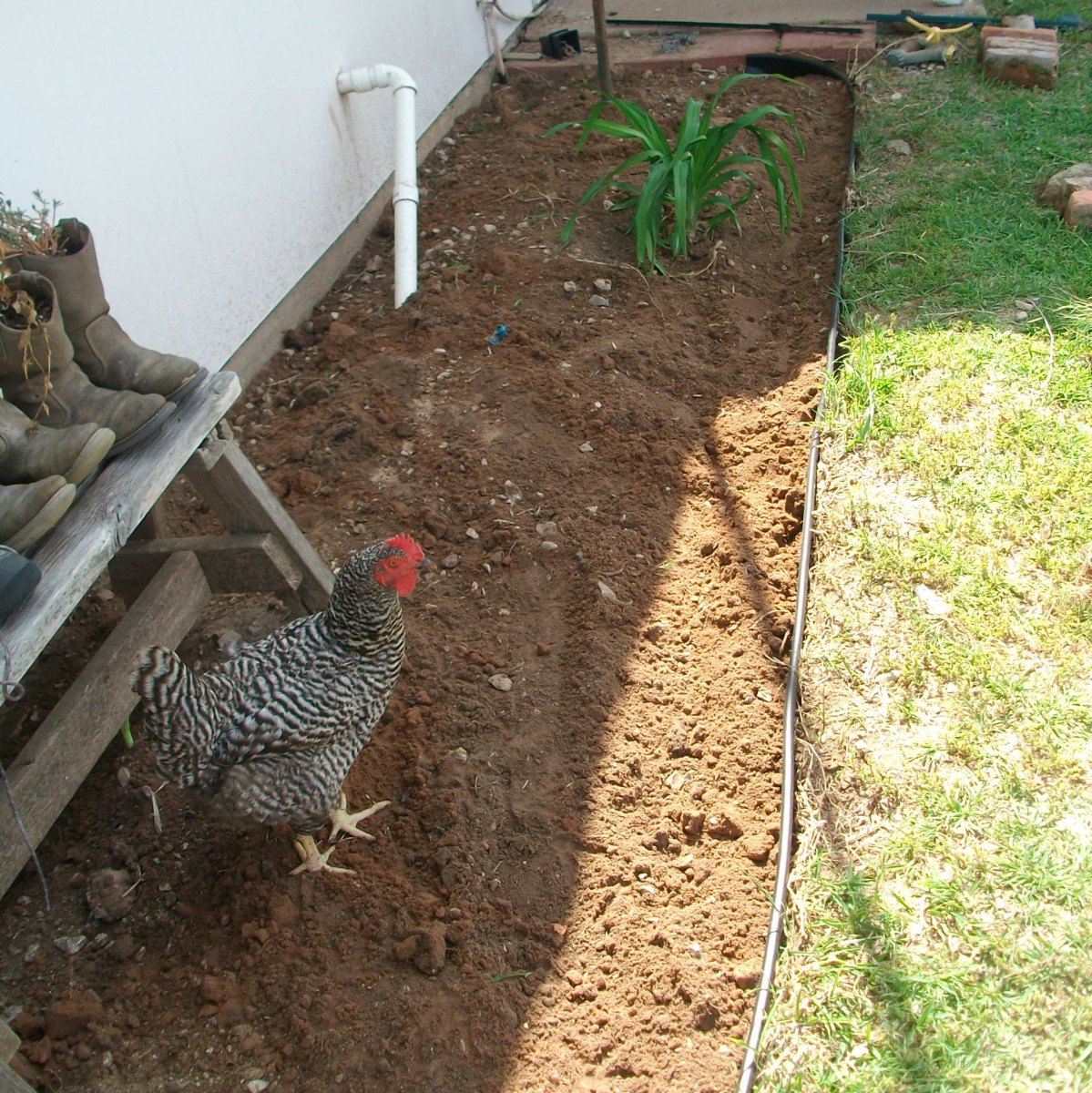 Newly prepared flowerbed using plastic lawn edging