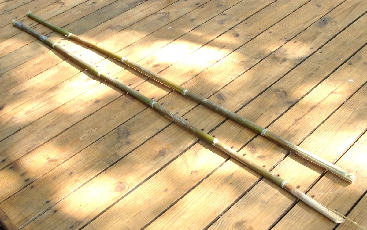 Two poles used to guide the hose into the far reaches of the roof.