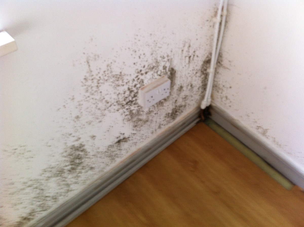 How to Stop Condensation on Walls and Windows HubPages