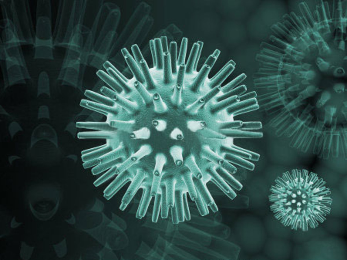 A digital representation of the herpes virus.