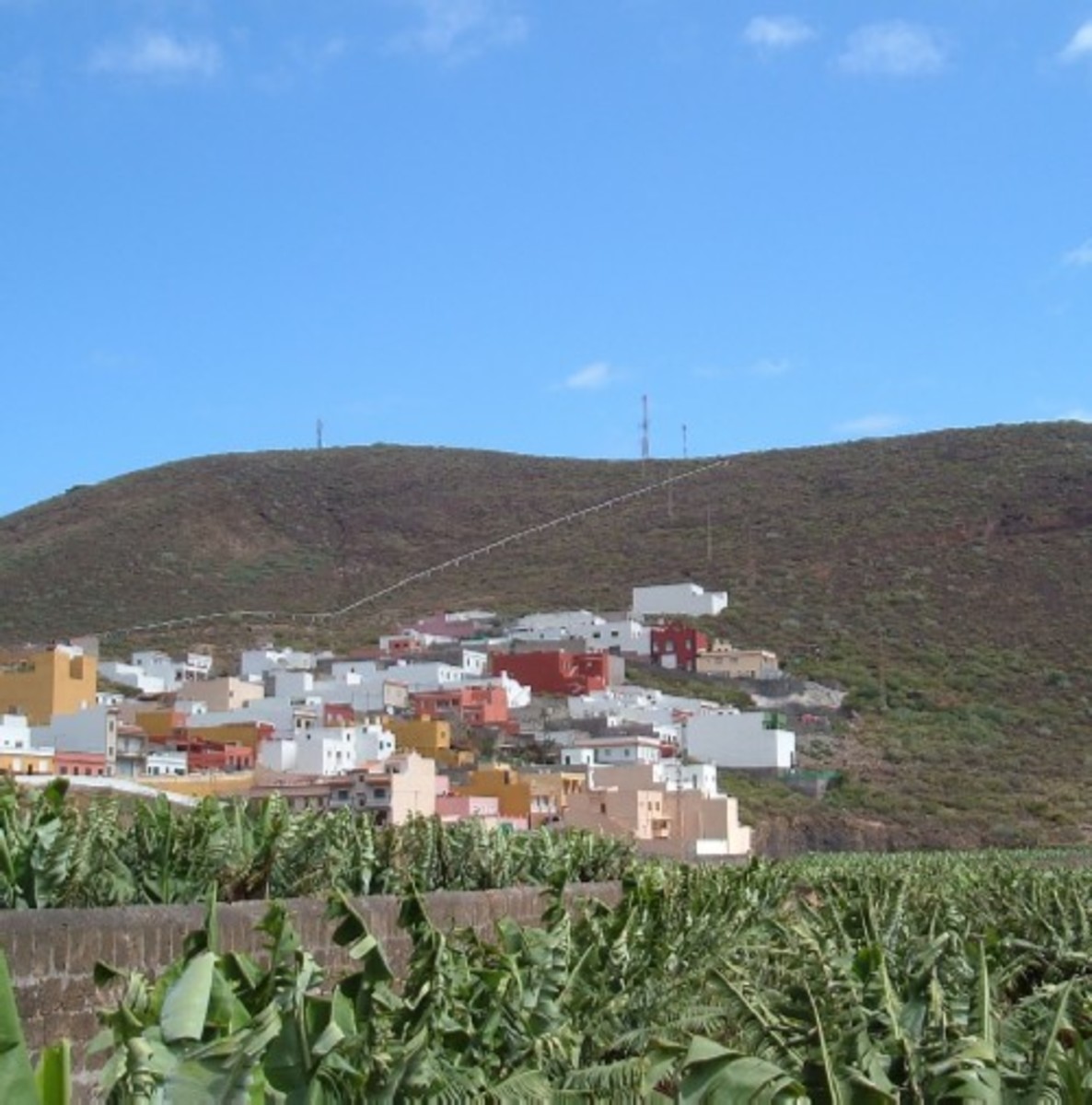 Montaña de Taco where a chupacabra was once reported