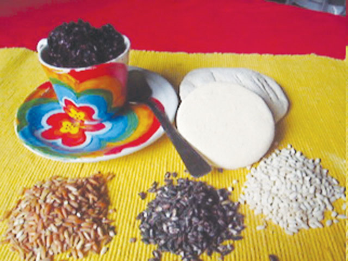 Ingredients for Tapuy Rice Wine - Cooked Glutinous Rice, Bubod or Starter Culture, Brown Rice, Black Rice, and White Rice(Image Credit: Photos by Jun Verzola and Brenda Dacpano/NORDIS from galleries.nordis.net)