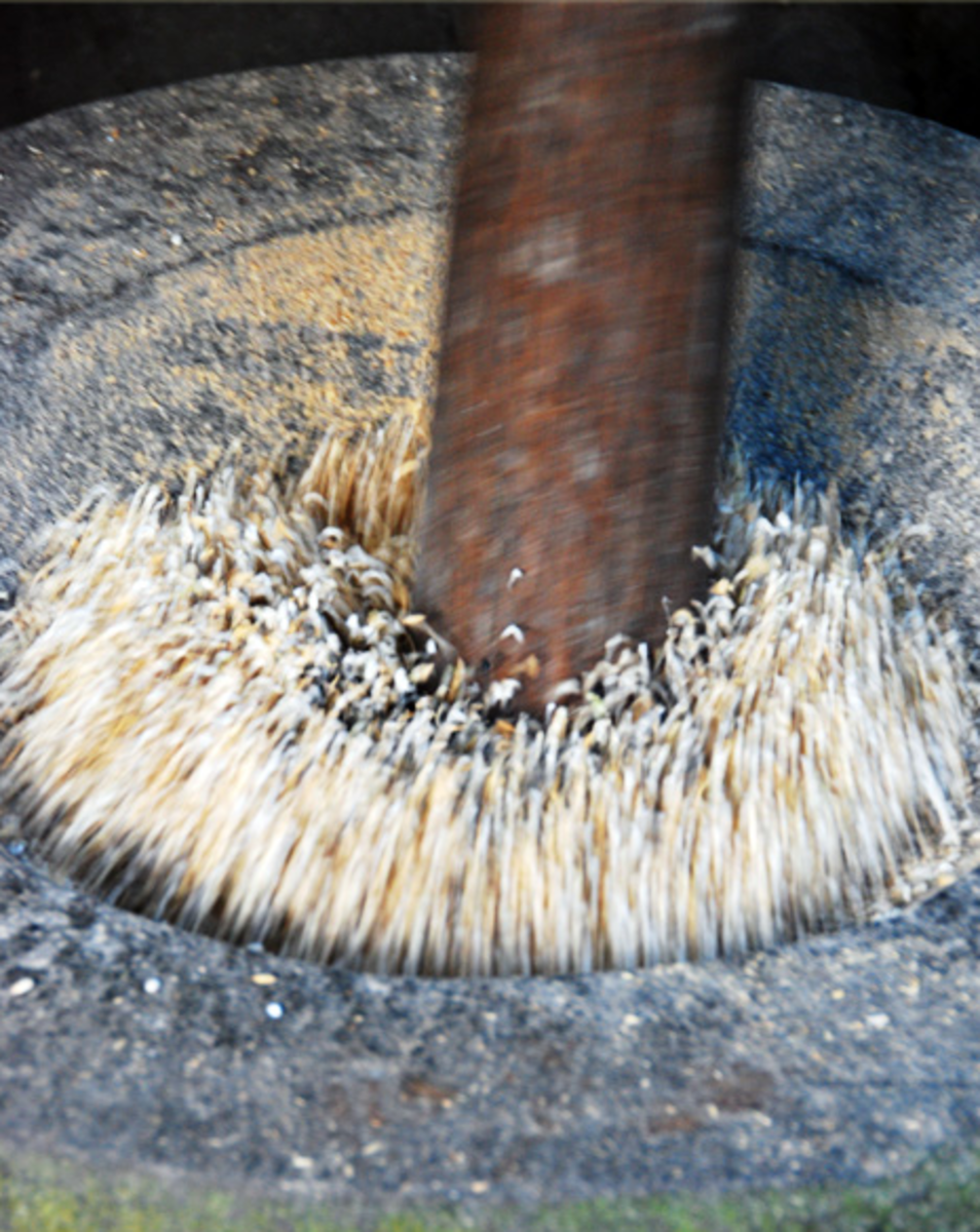 Close-Up of Pounding the Rice Grain as Initial Preparation to Rice Wine Making (Image Credit: AkosiSuperEdwinK from pinoyphotography.org)