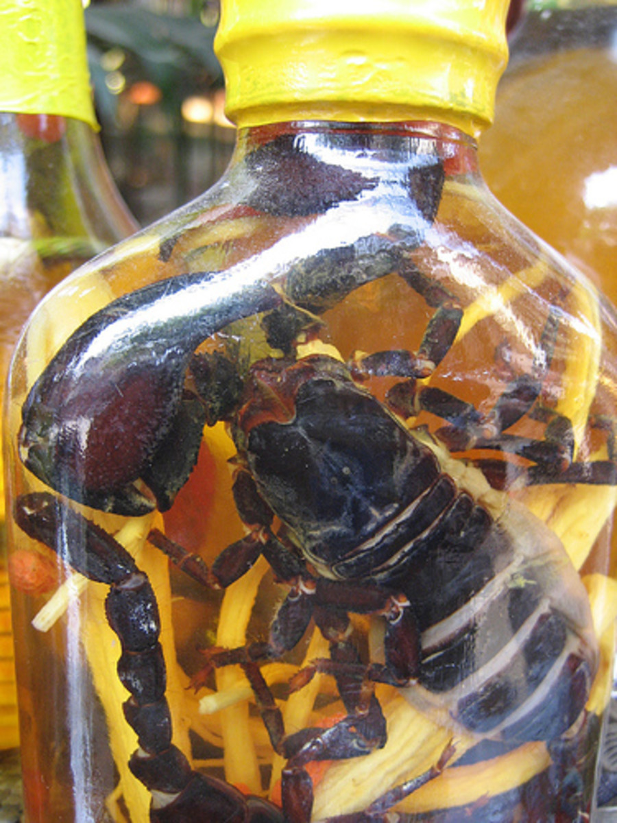 Tapuy Filipino Rice Wine How to Make HubPages