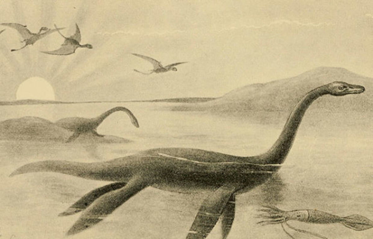 Nessie: Mysterious Animal Inhabiting Scotland's Loch Ness or Myth?
