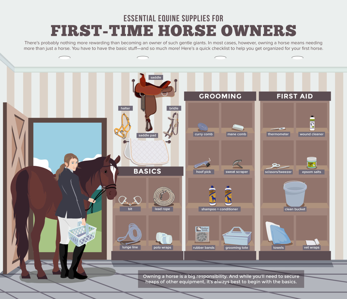 basic-supplies-every-first-time-horse-owner-needs