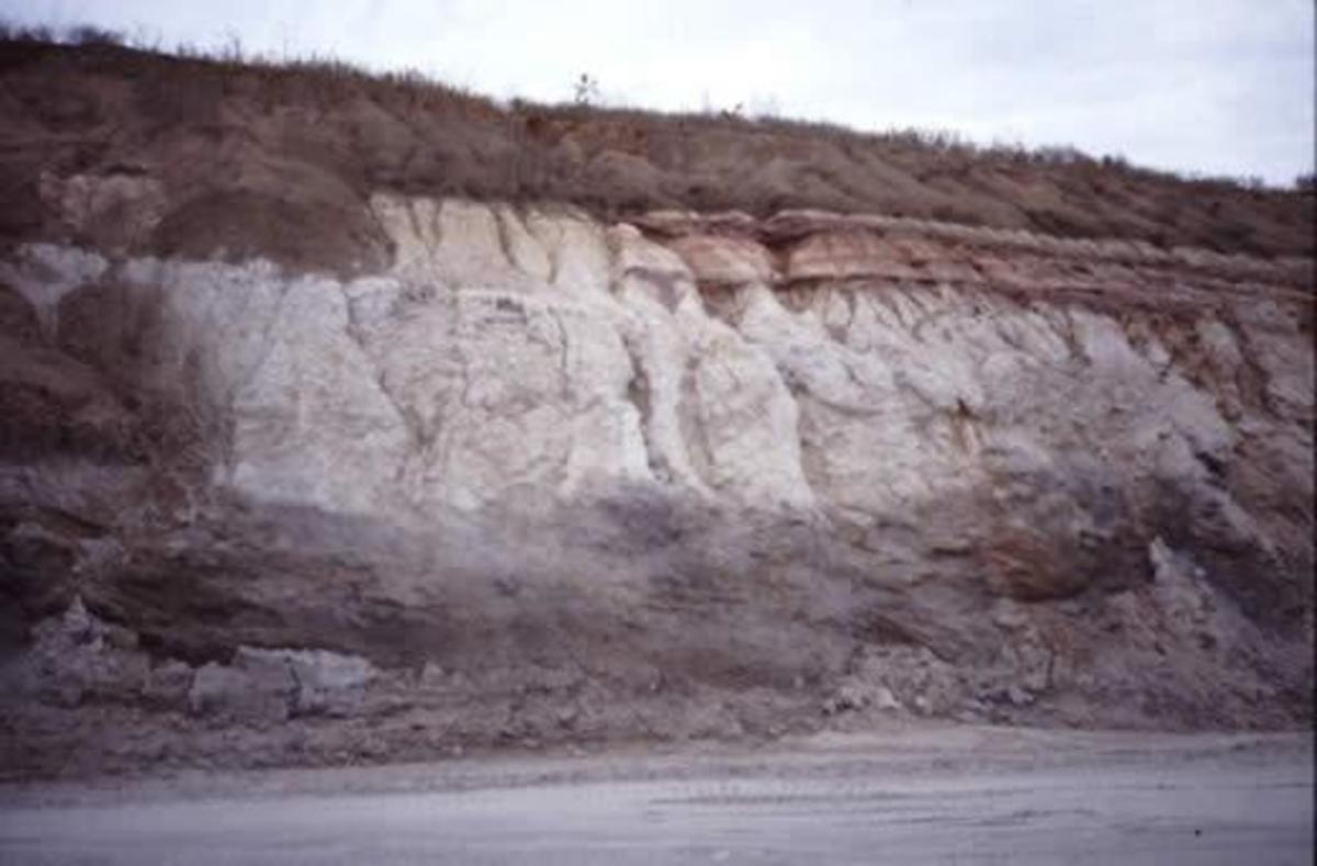An example of Tertiary deposits. The period lasted from 66 million to 2.58 million years ago.