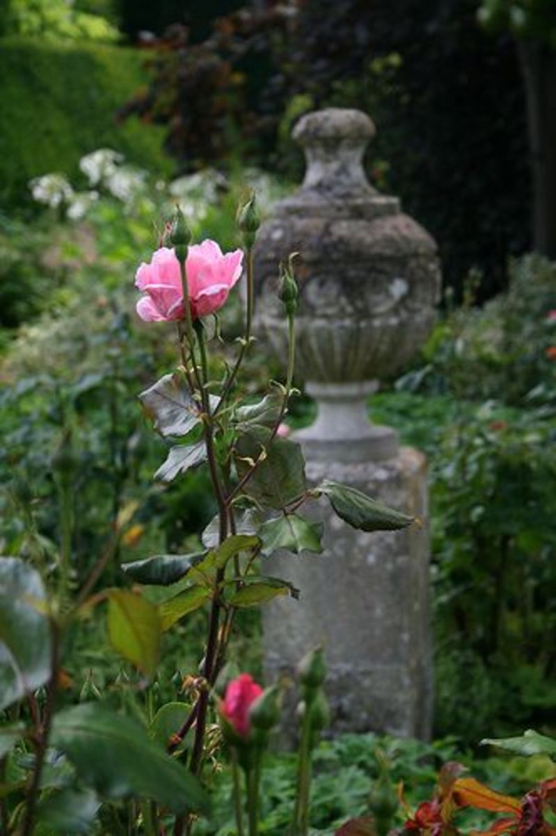 The Doll in the Garden, by Mary Downing Hahn a Book Review HubPages