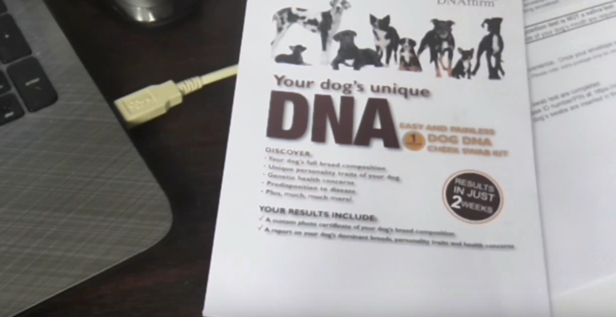 Viaguard Accumetrics DNA Breed Testing Kit