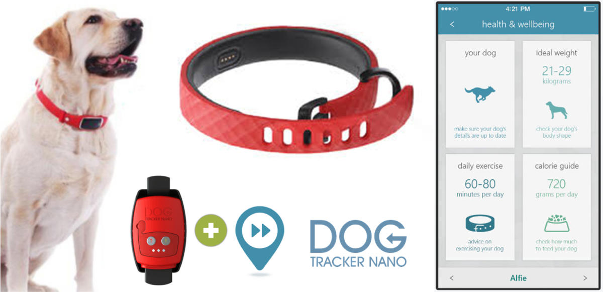 Dog Tracker Nano