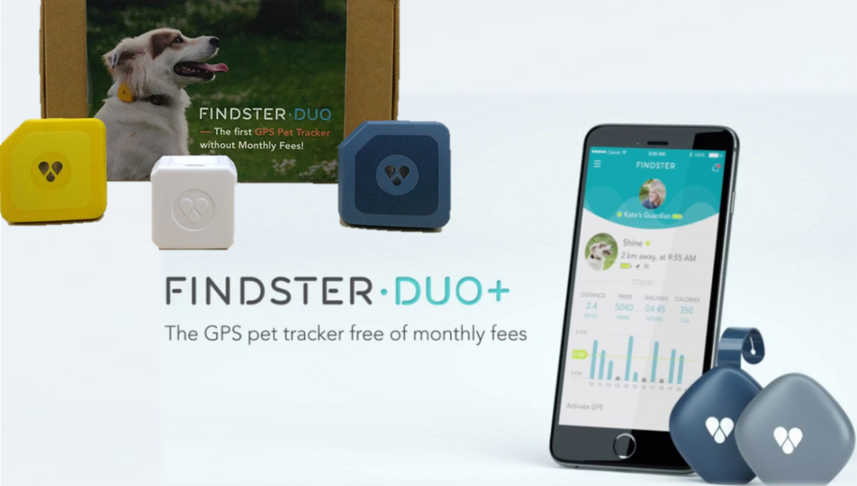 Findster Duo+ Pet Tracker - GPS Tracking Collar 