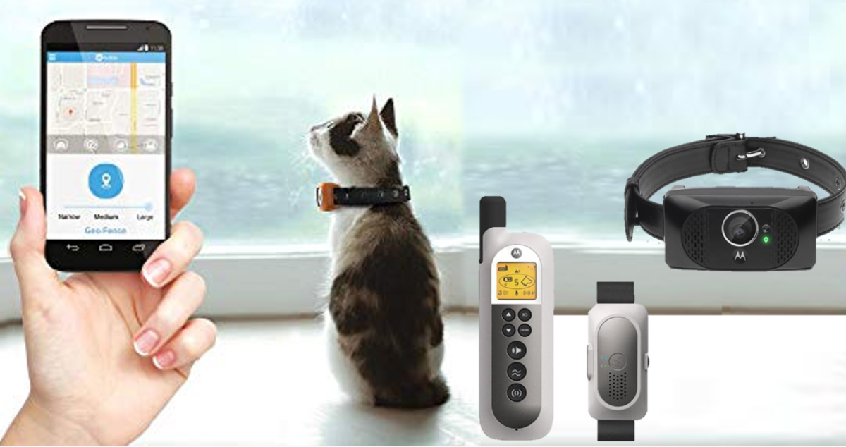 15 Best Monthly Subscription Free GPS Pet Trackers HubPages