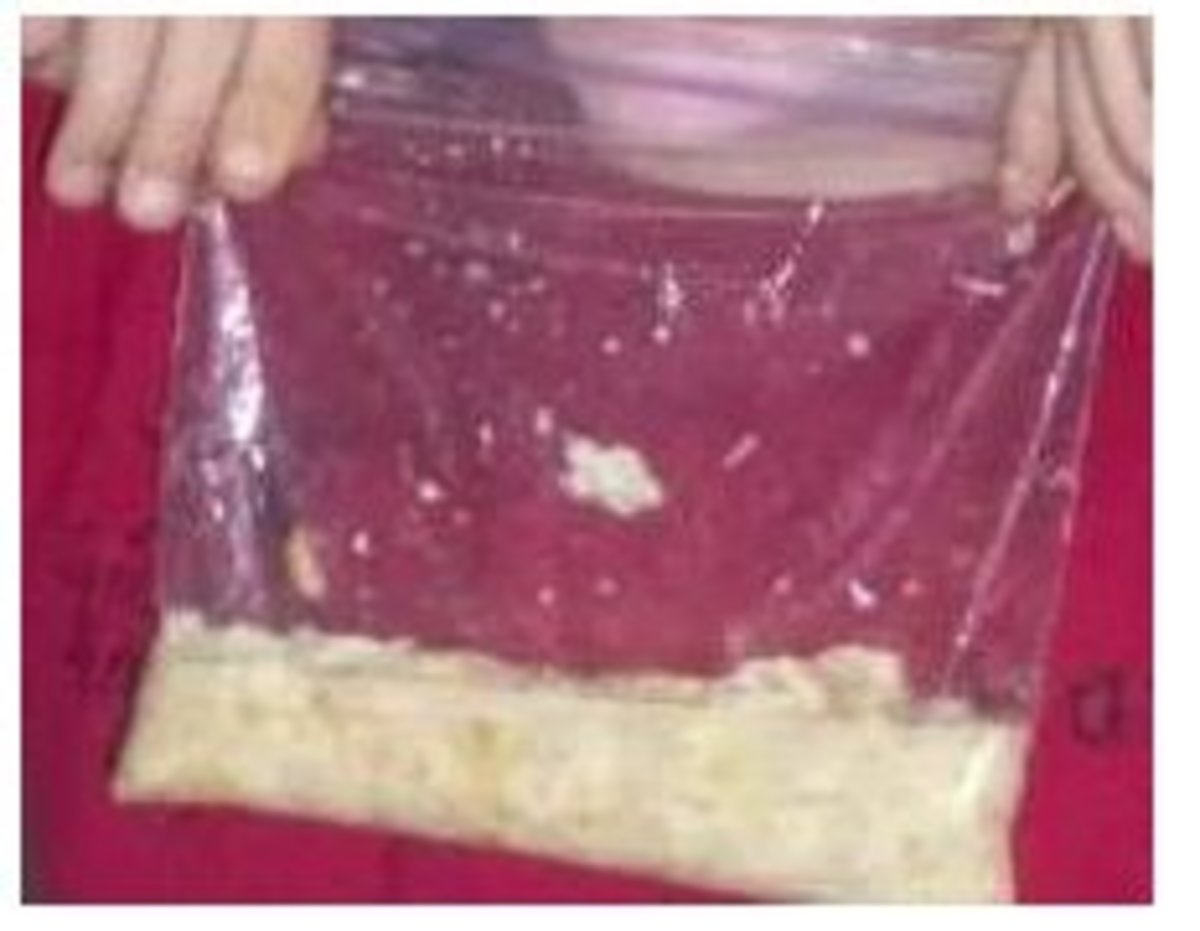 Chyme in the stomach made using vinegar and crackers and a sandwich bag