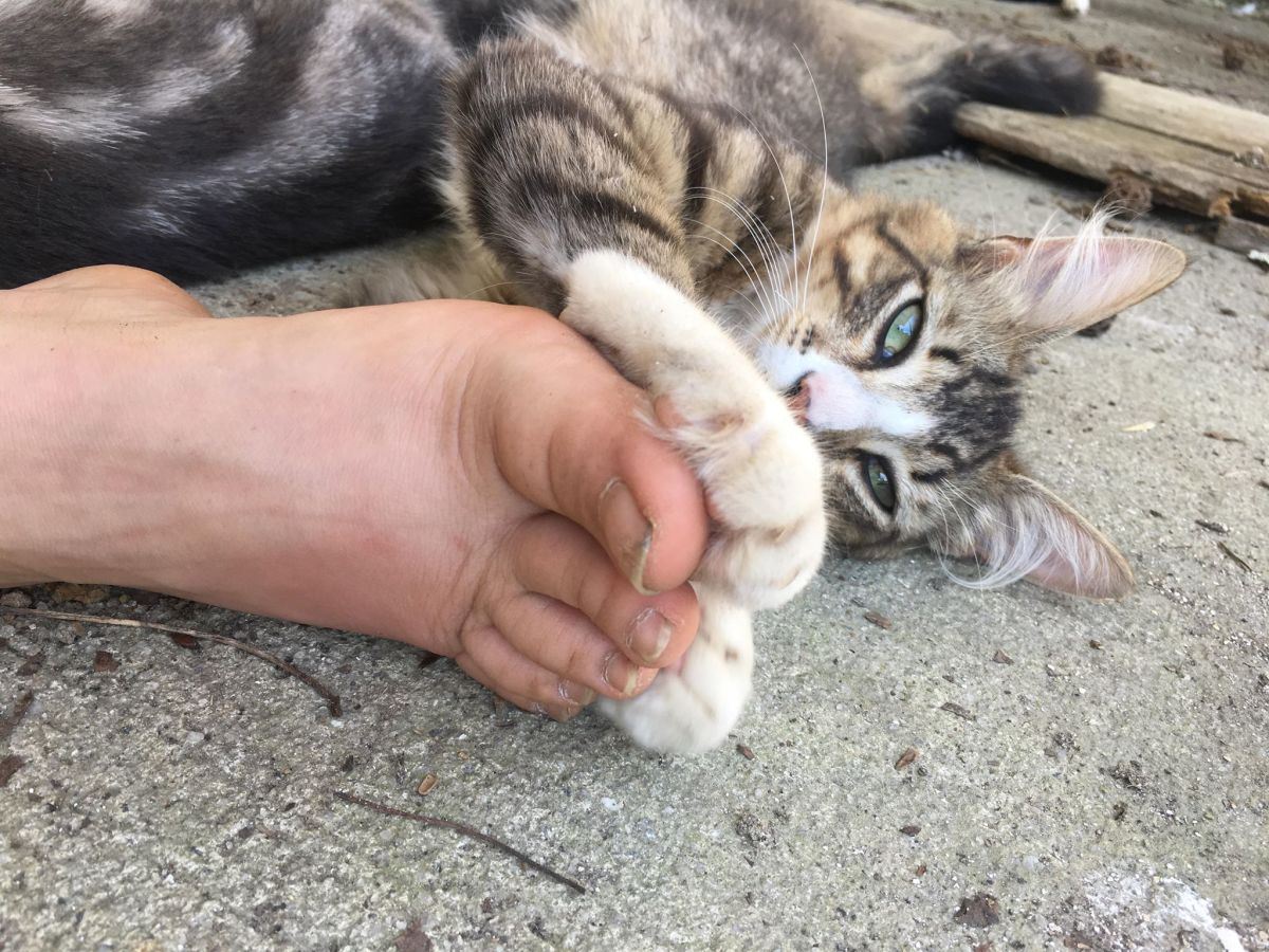 This is Magic! He loves feet.