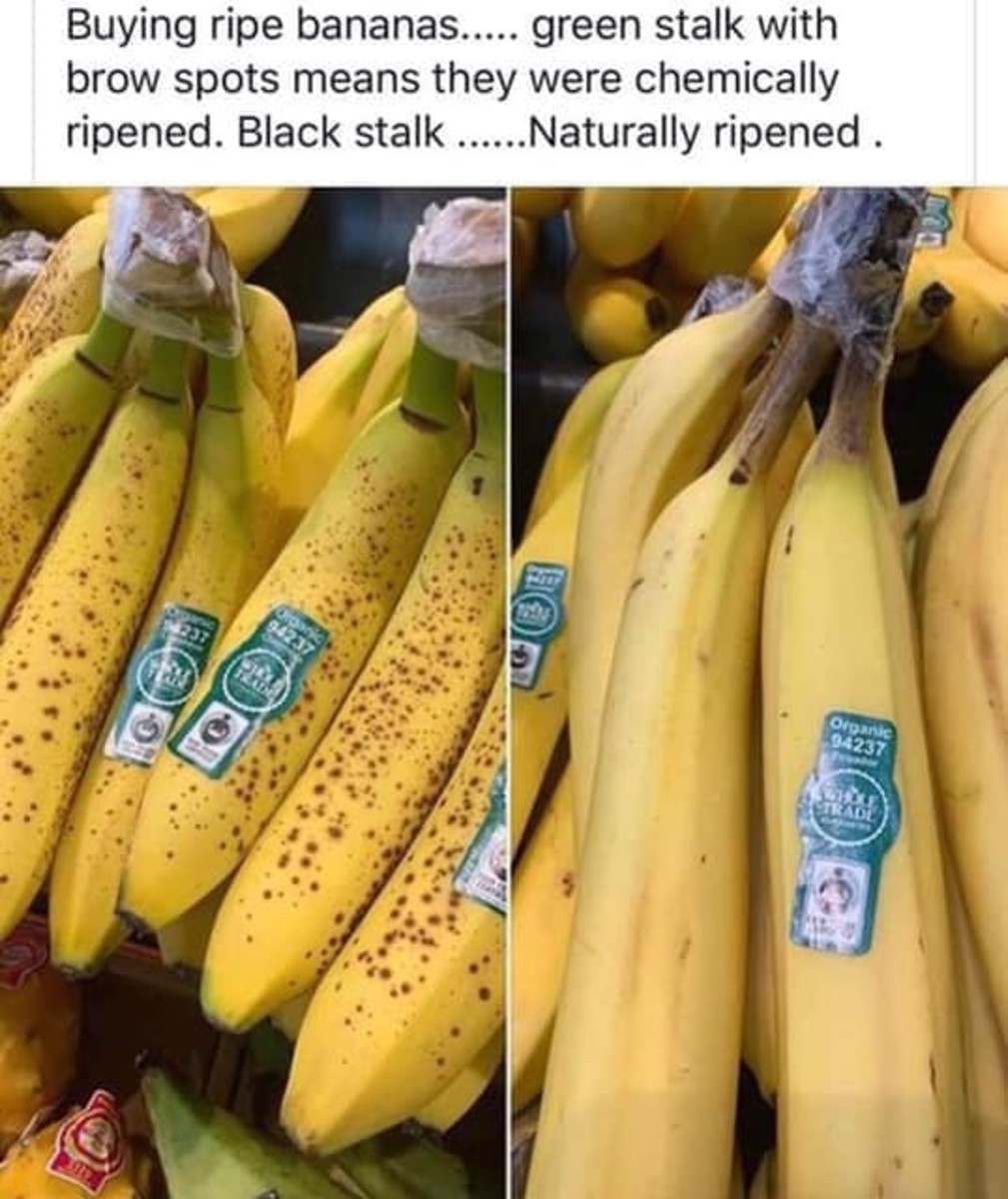 Naturally and Chemically ripened bananas