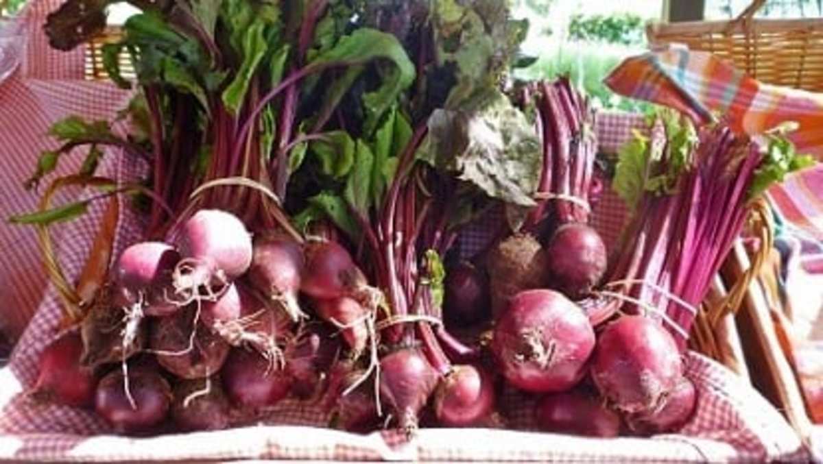 We purchased some of these fresh beets.